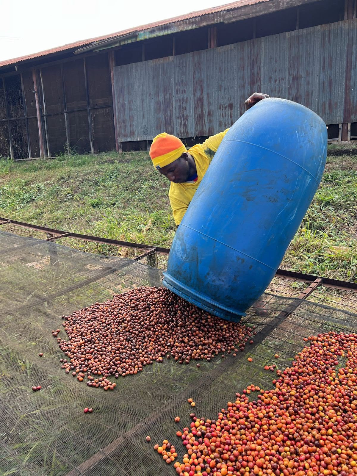 Special No.1 SINGLE ORIGIN